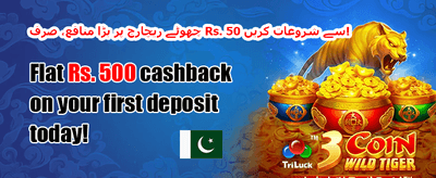 100% ویلکم جوائننگ بونس promotion